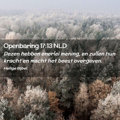 Picture 02 - Openbaring 17:13 NLD - Dezen hebben enerlei mening, en zullen hun kracht - Bible Verse Picture