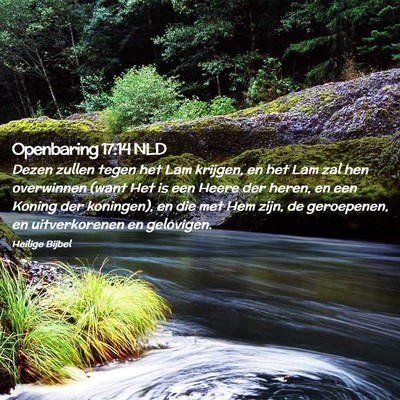 Picture 02 - Openbaring 17:14 NLD - Dezen zullen tegen het Lam krijgen, en het Lam - Bible Verse Picture