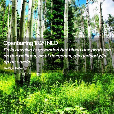 Picture 02 - Openbaring 18:24 NLD - En in dezelve is gevonden het bloed der profeten - Bible Verse Picture