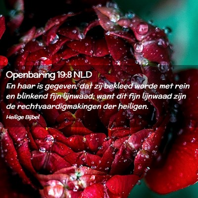 Picture 02 - Openbaring 19:8 NLD - En haar is gegeven, dat zij bekleed worde met - Bible Verse Picture