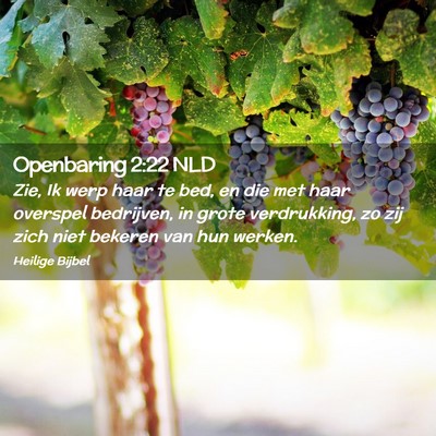Picture 02 - Openbaring 2:22 NLD - Zie, Ik werp haar te bed, en die met haar - Bible Verse Picture