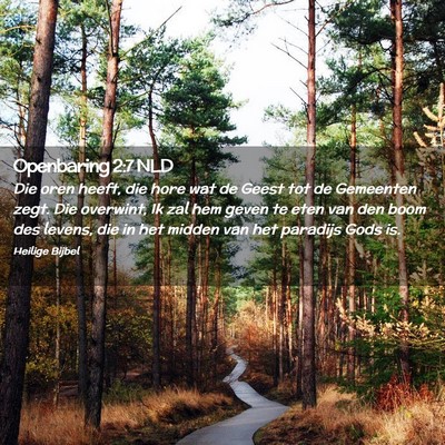 Picture 02 - Openbaring 2:7 NLD - Die oren heeft, die hore wat de Geest tot de - Bible Verse Picture