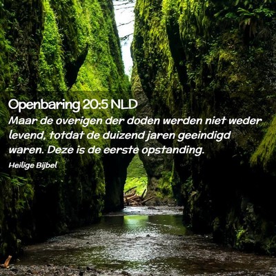 Picture 02 - Openbaring 20:5 NLD - Maar de overigen der doden werden niet weder - Bible Verse Picture