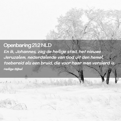Picture 02 - Openbaring 21:2 NLD - En ik, Johannes, zag de heilige stad, het nieuwe - Bible Verse Picture