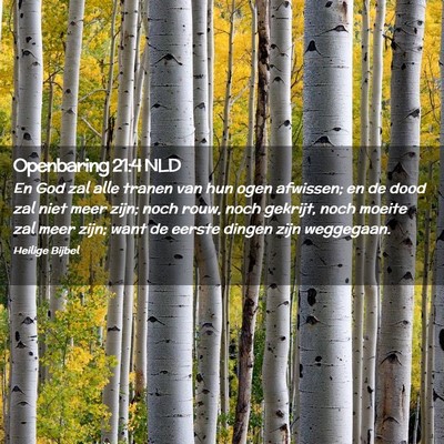 Picture 02 - Openbaring 21:4 NLD - En God zal alle tranen van hun ogen afwissen; en - Bible Verse Picture