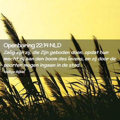 Picture 02 - Openbaring 22:14 NLD - Zalig zijn zij, die Zijn geboden doen, opdat hun - Bible Verse Picture
