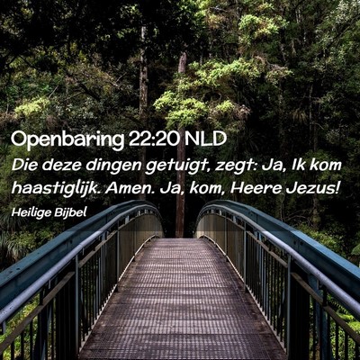 Picture 02 - Openbaring 22:20 NLD - Die deze dingen getuigt, zegt: Ja, Ik kom - Bible Verse Picture