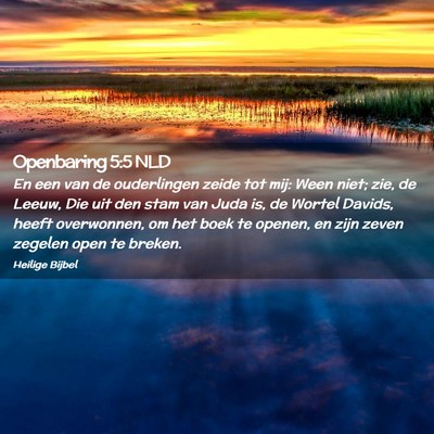 Picture 02 - Openbaring 5:5 NLD - En een van de ouderlingen zeide tot mij: Ween - Bible Verse Picture