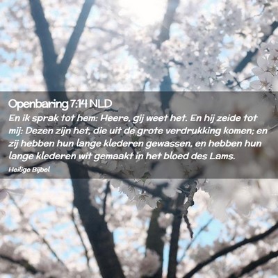 Picture 02 - Openbaring 7:14 NLD - En ik sprak tot hem: Heere, gij weet het. En hij - Bible Verse Picture