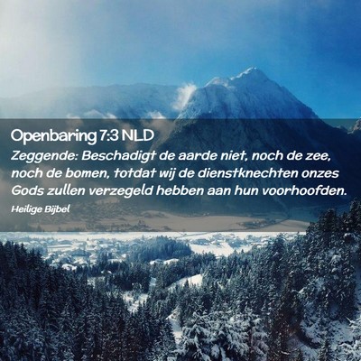 Picture 02 - Openbaring 7:3 NLD - Zeggende: Beschadigt de aarde niet, noch de zee, - Bible Verse Picture