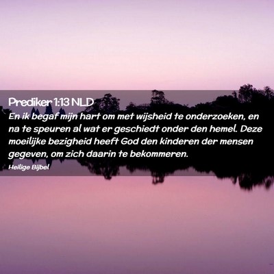 Picture 02 - Prediker 1:13 NLD - En ik begaf mijn hart om met wijsheid te - Bible Verse Picture