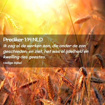 Picture 02 - Prediker 1:14 NLD - Ik zag al de werken aan, die onder de zon - Bible Verse Picture