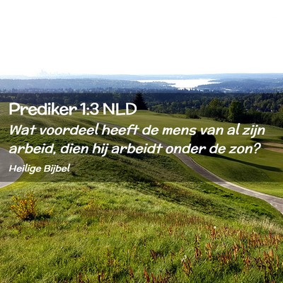Picture 02 - Prediker 1:3 NLD - Wat voordeel heeft de mens van al zijn arbeid, - Bible Verse Picture