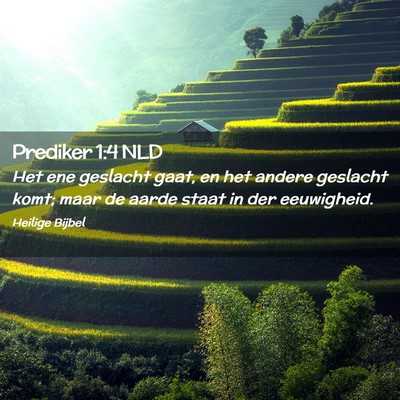 Picture 02 - Prediker 1:4 NLD - Het ene geslacht gaat, en het andere geslacht - Bible Verse Picture