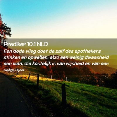 Picture 02 - Prediker 10:1 NLD - Een dode vlieg doet de zalf des apothekers - Bible Verse Picture