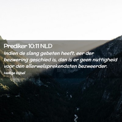 Picture 02 - Prediker 10:11 NLD - Indien de slang gebeten heeft, eer der bezwering - Bible Verse Picture