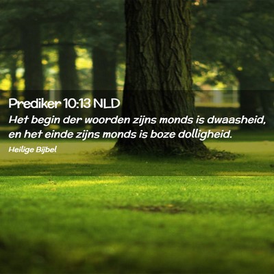 Picture 02 - Prediker 10:13 NLD - Het begin der woorden zijns monds is dwaasheid, - Bible Verse Picture