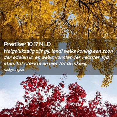 Picture 02 - Prediker 10:17 NLD - Welgelukzalig zijt gij, land! welks koning een - Bible Verse Picture