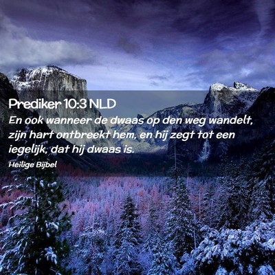 Picture 02 - Prediker 10:3 NLD - En ook wanneer de dwaas op den weg wandelt, zijn - Bible Verse Picture