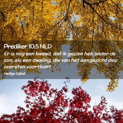 Picture 02 - Prediker 10:5 NLD - Er is nog een kwaad, dat ik gezien heb onder de - Bible Verse Picture