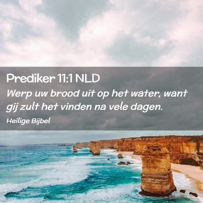 Picture 02 - Prediker 11:1 NLD - Werp uw brood uit op het water, want gij zult het - Bible Verse Picture