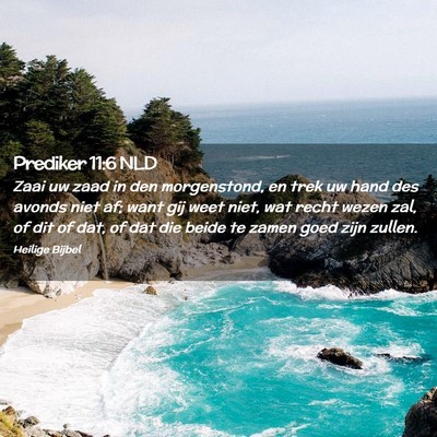 Picture 02 - Prediker 11:6 NLD - Zaai uw zaad in den morgenstond, en trek uw hand - Bible Verse Picture
