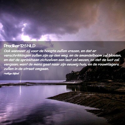Picture 02 - Prediker 12:5 NLD - Ook wanneer zij voor de hoogte zullen vrezen, en - Bible Verse Picture