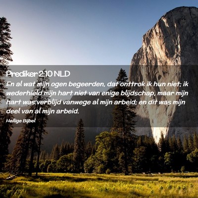 Picture 02 - Prediker 2:10 NLD - En al wat mijn ogen begeerden, dat onttrok ik hun - Bible Verse Picture