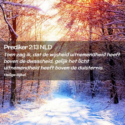 Picture 02 - Prediker 2:13 NLD - Toen zag ik, dat de wijsheid uitnemendheid heeft - Bible Verse Picture