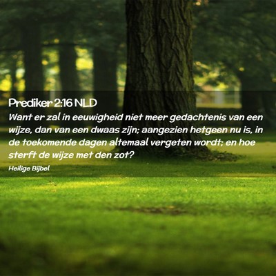 Picture 02 - Prediker 2:16 NLD - Want er zal in eeuwigheid niet meer gedachtenis - Bible Verse Picture