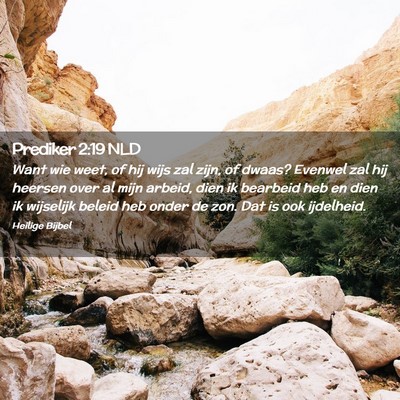Picture 02 - Prediker 2:19 NLD - Want wie weet, of hij wijs zal zijn, of dwaas? - Bible Verse Picture