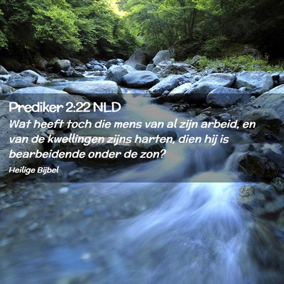 Picture 02 - Prediker 2:22 NLD - Wat heeft toch die mens van al zijn arbeid, en - Bible Verse Picture