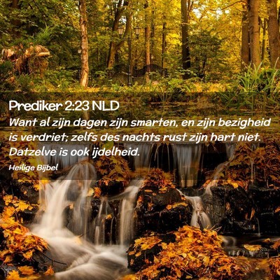Picture 02 - Prediker 2:23 NLD - Want al zijn dagen zijn smarten, en zijn - Bible Verse Picture