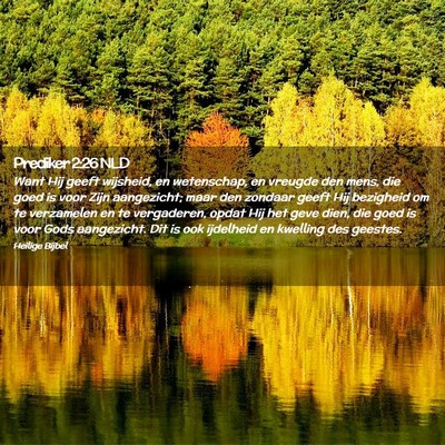 Picture 02 - Prediker 2:26 NLD - Want Hij geeft wijsheid, en wetenschap, en - Bible Verse Picture