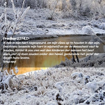 Picture 02 - Prediker 2:3 NLD - Ik heb in mijn hart nagespeurd, om mijn vlees op - Bible Verse Picture