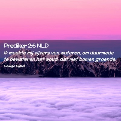 Picture 02 - Prediker 2:6 NLD - Ik maakte mij vijvers van wateren, om daarmede te - Bible Verse Picture
