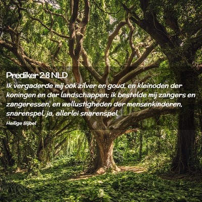 Picture 02 - Prediker 2:8 NLD - Ik vergaderde mij ook zilver en goud, en - Bible Verse Picture