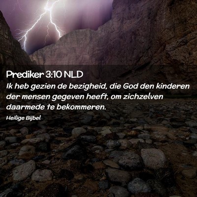 Picture 02 - Prediker 3:10 NLD - Ik heb gezien de bezigheid, die God den kinderen - Bible Verse Picture