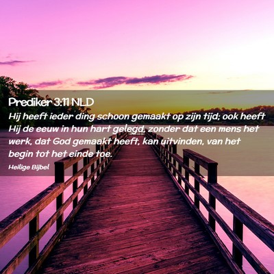 Picture 02 - Prediker 3:11 NLD - Hij heeft ieder ding schoon gemaakt op zijn tijd; - Bible Verse Picture
