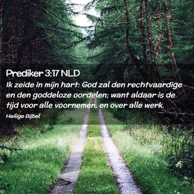 Picture 02 - Prediker 3:17 NLD - Ik zeide in mijn hart: God zal den rechtvaardige - Bible Verse Picture