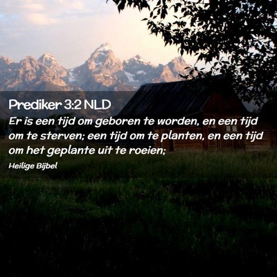 Picture 02 - Prediker 3:2 NLD - Er is een tijd om geboren te worden, en een tijd - Bible Verse Picture