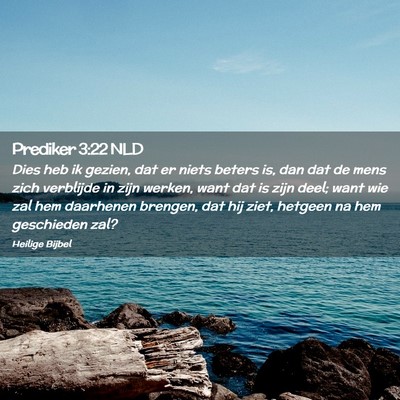 Picture 02 - Prediker 3:22 NLD - Dies heb ik gezien, dat er niets beters is, dan - Bible Verse Picture