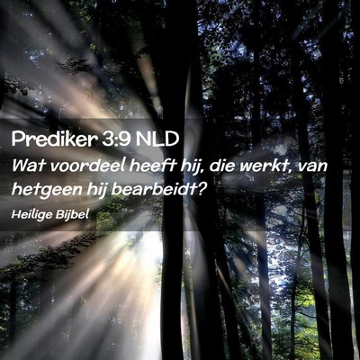 Picture 02 - Prediker 3:9 NLD - Wat voordeel heeft hij, die werkt, van hetgeen - Bible Verse Picture