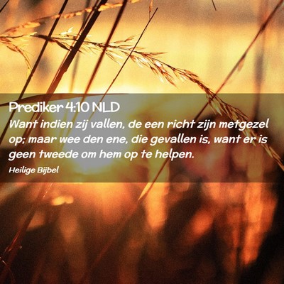 Picture 02 - Prediker 4:10 NLD - Want indien zij vallen, de een richt zijn - Bible Verse Picture
