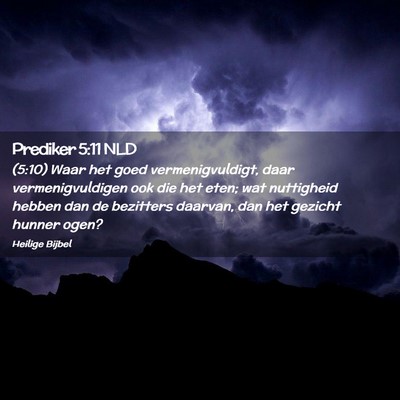 Picture 02 - Prediker 5:11 NLD - (5:10) Waar het goed vermenigvuldigt, daar - Bible Verse Picture