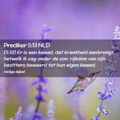 Picture 02 - Prediker 5:13 NLD - (5:12) Er is een kwaad, dat krankheid aanbrengt, - Bible Verse Picture