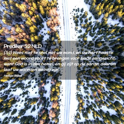 Picture 02 - Prediker 5:2 NLD - (5:1) Wees niet te snel met uw mond, en uw hart - Bible Verse Picture