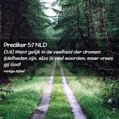 Picture 02 - Prediker 5:7 NLD - (5:6) Want gelijk in de veelheid der dromen - Bible Verse Picture