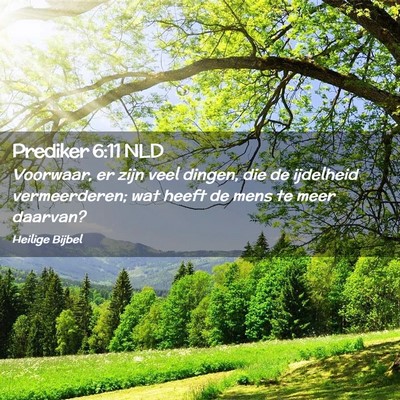 Picture 02 - Prediker 6:11 NLD - Voorwaar, er zijn veel dingen, die de ijdelheid - Bible Verse Picture