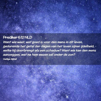 Picture 02 - Prediker 6:12 NLD - Want wie weet, wat goed is voor den mens in dit - Bible Verse Picture